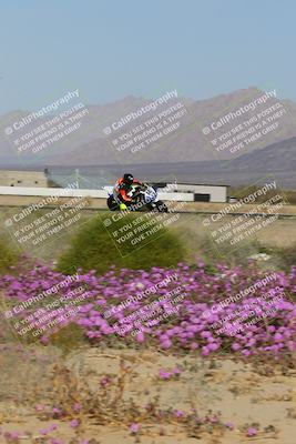 media/Feb-04-2023-SoCal Trackdays (Sat) [[8a776bf2c3]]/Turn 15 Inside Blooming (1050am)/